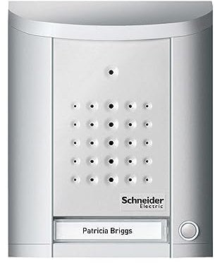 Schneider Electric Ritto Türstation, Entravox, Audio für 1-Familienhaus, Gegensprechanlage mit Beleuchtung und Klingeltaste, Aufputz, Außeneinheit, silber eloxiert, Artikelnummer 1840120