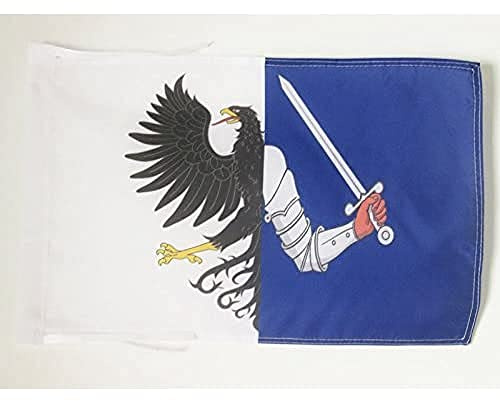 AZ FLAG Connaught Flag 45x30 cm Connacht 100D Polyester Cords | Indoor and outdoor use 12x18 in decorative flag double stitched seams and reinforced edges with ties