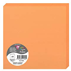 Clairefontaine 2156C Packung (mit 25 Doppelkarten Pollen, Gefaltet, 160 x 160mm) 210g, clementine