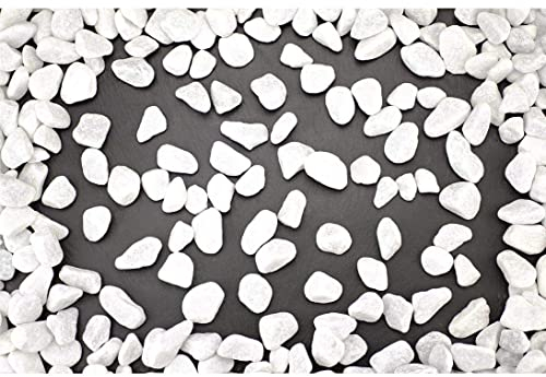 kunstpflanzen-discount.com Carrara Zierkies 15-25mm weiß im ca. 25kg Sack - Verwendbar als Füllmaterial oder zur Gartengestaltung