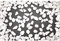 kunstpflanzen-discount.com Carrara Zierkies 15-25mm weiß im ca. 25kg Sack - Verwendbar als Füllmaterial oder zur Gartengestaltung