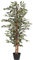 Blooming Artificial - Ficus Tree Artificial Plant, Large Fake Plant in Pot for House and Indoors, Year Round Decorative Realistic Faux Foliage (Variegated) (120cm/ 4ft)