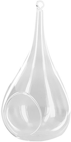 Jarrón decorativo y colgante de cristal para plantas y flores - Boca de 90 mm