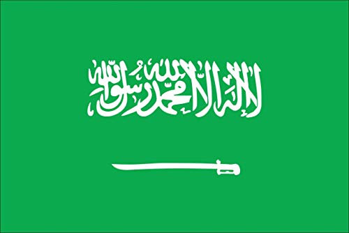 flaggenmeer® Flagge Saudi-Arabien 110 g/m² ca. 200 x 335 cm