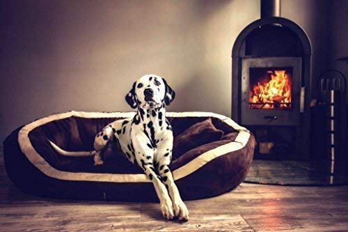 tierlando® Pepper Orthopädisches Hundebett Hundesofa VISCO XL Velours Mega Dick & Weich Schwarz 160cm XXL Velours MEGA DICK & WEICH