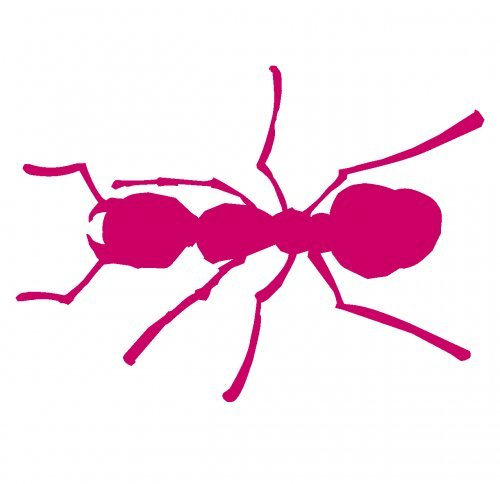 Ameisen Aufkleber Motiv 818 in 2 Größen und 11 Farben (15x10,7cm pink)