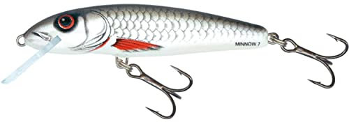 Salmo Minnow Wobbler, Farben:Dace, Länge/Gewicht/Laufverhalten/Tauchtiefe:7cm / 6g / schwimmend / 1.0-1.5m