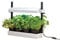 Garland G187 Kleiner Wachstumsgarten mit Licht (1 x 11 W)