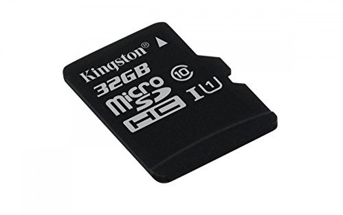 Kingston - SDC10G2 - Carte MicroSD (seule) - 32 Go