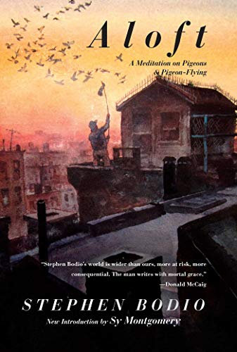 Aloft: A Meditation on Pigeons & Pigeon-Flying (English Edition)