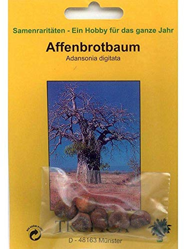 TROPICA - Baobab (Adansonia digitata) - 6 Semi