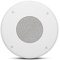 JBL Professional Commercial Series CSS8004 Deckenlautsprecher, 15 W, 10,2 cm, Weiß
