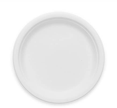 25cm (10) Large White Bagasse Plate - Fully Biodegradable & Compostable (Pack of 50)
