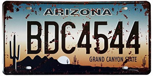 ERLOOD Arizona BDC4544 Retro Vintage Auto Nummernschild Blechschild geprägtes Etikett Größe 15 x 30 cm