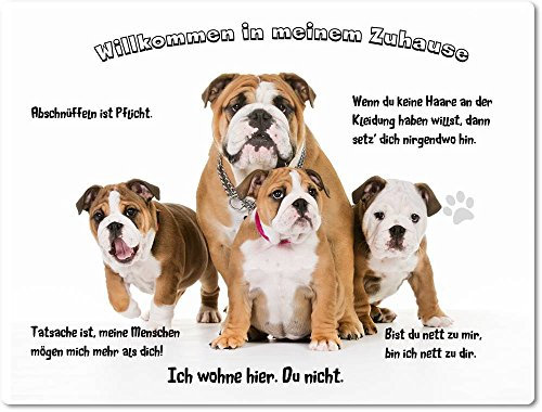 Merchandise for Fans Blechschild/Warnschild/Türschild - Aluminium - 20x30cm - - Willkommen in Meinem Zuhause - Motiv: Englische Bulldogge Familie - 05