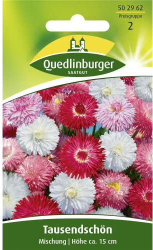 Tausendschön, Maßliebchen, Bellis perennis, ca. 200 Samen