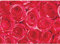 Klebefolie Möbelfolie rote Rosen 45 cm x 200 cm Blumen - Bastelfolie Selbstklebefolie