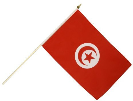 Flaggenfritze Stockflagge Tunesien - 30 x 45 cm