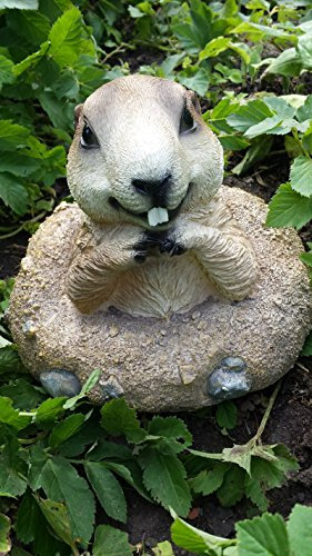 Erdmännchen Figur (E5) Gartenfigur Tierfigur NEU Wetterfest Gartenzwerg Deko Polystone