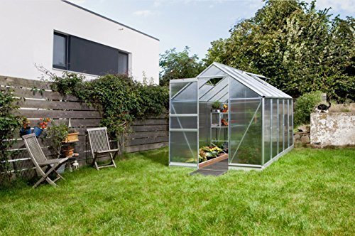 Gartenwelt Riegelsberger Gewächshaus Apollo - Ausführung: 6200 HKP 6 mm Alu, Fläche: ca. 6,2 m², mit 2 Dachfenster, Sockel: 194 x 326 cm