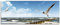 ARTland Wanddeko Glasbilder Wandbild Glas Bild einteilig 125x50 cm Querformat Strand Möwen Meer Wellen Küste Ostsee Sommer Urlaub Natur Landschaft T5QR