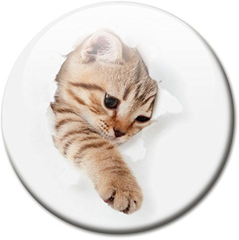Kühlschrankmagnet mit lustigem Katzenmotiv „Katze bricht durch!“, Magnete für Magnettafel, Bunt, stark groß rund 50mm