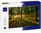 Lais Puzzle Lichtstrahlen im Wald 1000 Teile