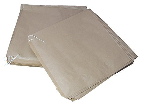 100 Large Kraft Brown Strung Paper Bags Size 12.5 x 12.5 / 315 x 315mm Fruit Veg Food Sandwich Grocery
