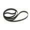 THAKKER DJ-1000 Courroie Compatible avec Lenco DJ-1000 Courroie Tourne-Disque Belt