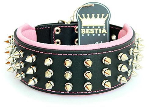 Bestia Echtleder Hundehalsband mit Schraubspitzen und Leder Innenpolsterung. 6,5 cm breit. Passfit. Größen M, L, XL, XXL. 42,5 bis 75 cm Halsumfang. Top Qualität