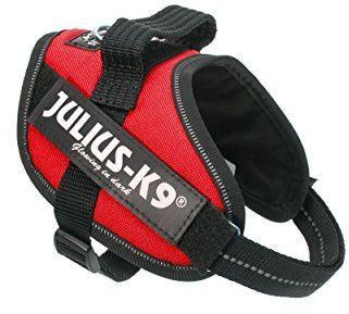 Julius K9 16IDC-R-MM IDC-Powergeschirr mit Logofeld, mini rot
