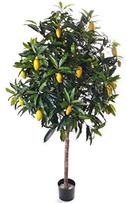 Kunstbaum Mangobaum, Exotischer Kunstbaum, 210cm - künstliche Blumen Kunstblumen Dekoblumen Kunstpflanzen