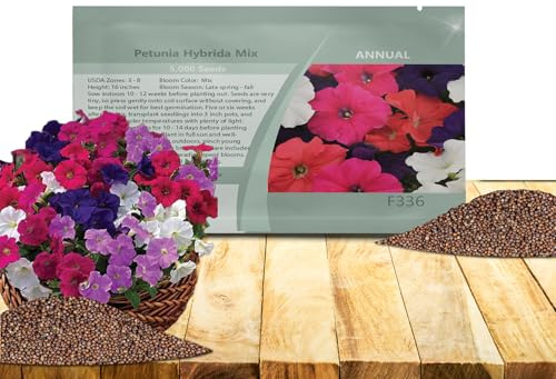 Outsidepride Hybrida Mix Petunia Seeds - 5000 Pcs. Annual, Compact & Versatile Flower Seeds for Planting Low Growing Vibrant Blooms, Ideal for Garden Beds, Hanging Baskets & Container Displays