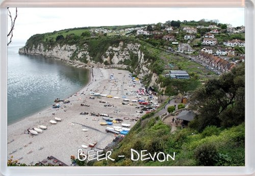 Beer - Devon - Jumbo Fridge Magnet