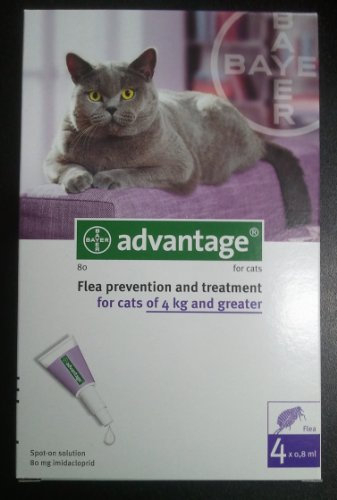 Bayer advantage x gatti 4kg.e oltre