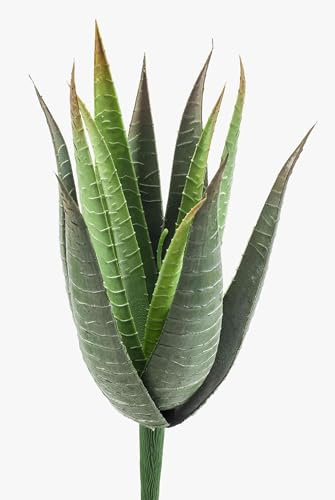 artplants.de Künstliche Aloe Vera, 15 Blätter, grün, auf Steckstab, 35cm - Kunstpflanze - Aloe Vera Deko | 13 Blätter mit Stiel - Grüne Aloe / Aloe dekorativ