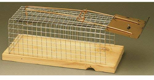 garda 009638 Drahtkasten-Rattenfalle