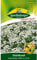Duft-Steinrich, Steinkraut, Alyssum maritimum, ca. 200 Samen