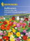 Duftblumen Einjährige Sommerblumen von Kiepenkerl