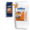 Lot de 500 capsules de café crème Lavazza Point EX crème et arôme originaux