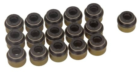 Reinz 12-31306-12 Dichtungssatz, Ventilschaft