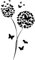 GRAZDesign Wandtattoo Pusteblume Schmetterlinge - 53x30cm / 054 türkis