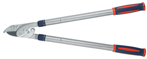 Spear & Jackson 4902RSS Razorsharp Steel Telescopic Anvil Lopper