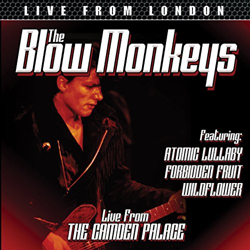 The Blow Monkeys: Live From London [DVD] [2012] [NTSC]