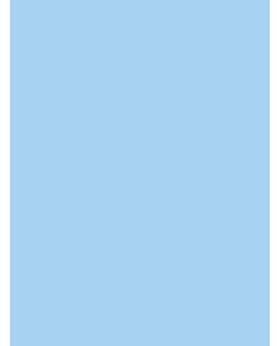 Clairefontaine 384527C - Pacco da 25 fogli di Carta Poster dipinto 90g/m² - Formato 60x80cm - decoupage, Scrittura, Collage - hobby creativo Adulti e Bambini - Colore blu cielo