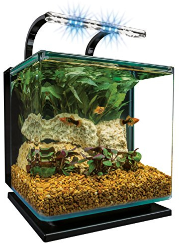Marineland Contour 3 Aquarium Kit 3 Gallons, Rounded Glass Corners, Includes LED Lighting