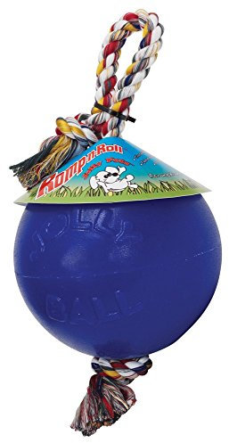 Jolly Pets Ball Romp-n-Roll Dog Toy, 10 cm, Blue