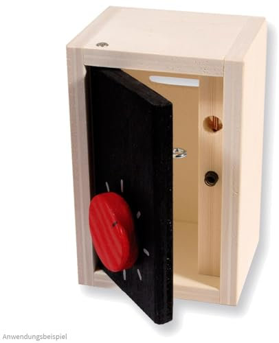 matches21 HOME & HOBBY Tresor DIY Holz Bastelset für Kinder ab 12 Jahren Bausatz