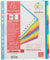 Exacompta 3812E Premium-Register Campus für DIN A4 MAXI aus langlebigem Kunststoff 12-teilig volle Höhe 24 x 29,7 cm vollfarbig 2 x 6 Farben mit Indexseite zum selbstgestalten Trennblätter 2 x 6 Farben | mit Indexseite