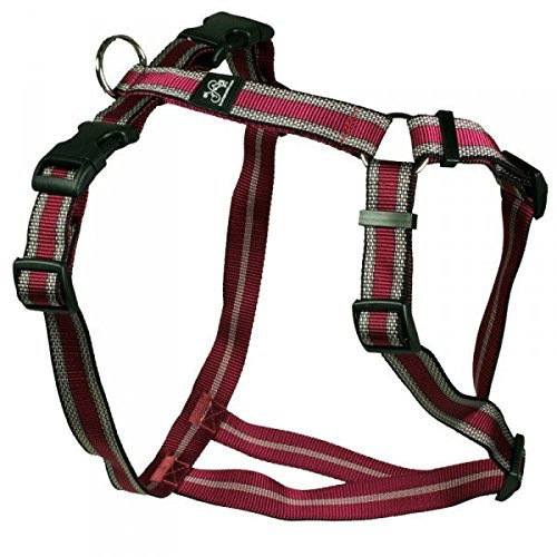 Feltmann Brustgeschirr, Soft Nylon, Pflaume mit Muster, 40-60cm, 15mm